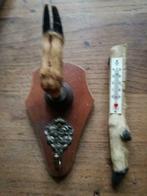 hertenpoot thermometer wandhaak kapstok vintage, Ophalen of Verzenden