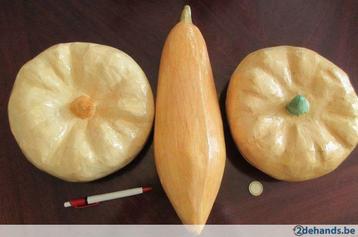 sierfruit 3 decoratie fruit groenten 3 pompoenen, Enlèvement ou Envoi