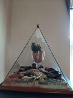 Belle pyramide pour mettre des fleurs des cactus, Maison & Meubles, Comme neuf, Enlèvement