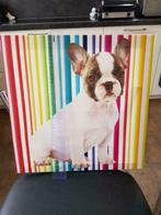 cadre photo chien, Maison & Meubles, Comme neuf, Bois, Moins de 50 cm, Moins de 50 cm