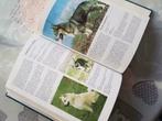 Honden encyclopedie