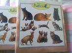 4 dikke Verzamelmappen  over Katten, Livres, Animaux & Animaux domestiques, Chats, Enlèvement ou Envoi, Neuf