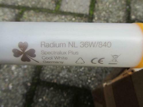 Partij TL lampen RADIUM NL 36W/840, Maison & Meubles, Lampes | Suspensions, Utilisé, Enlèvement