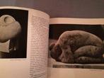 Beeldhouwers uit België jaren 60 95pag 80ill., Boeken, Kunst en Cultuur | Beeldend, Ophalen of Verzenden, Gelezen
