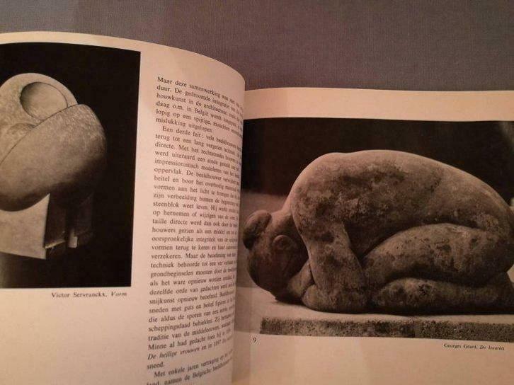 Beeldhouwers uit België jaren 60 95pag 80ill., Boeken, Kunst en Cultuur | Beeldend, Gelezen, Ophalen of Verzenden