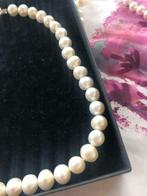 Prachtig halssnoer van zoetwater parels, Avec perle, Autres matériaux, Enlèvement ou Envoi, Blanc