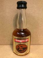 Cherry Brandy - Campeny - Mignonnette d'alcool - 50 ml, Pleine, Autres types, Enlèvement ou Envoi, Espagne