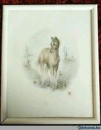 Kader paard, Ophalen of Verzenden, Gebruikt