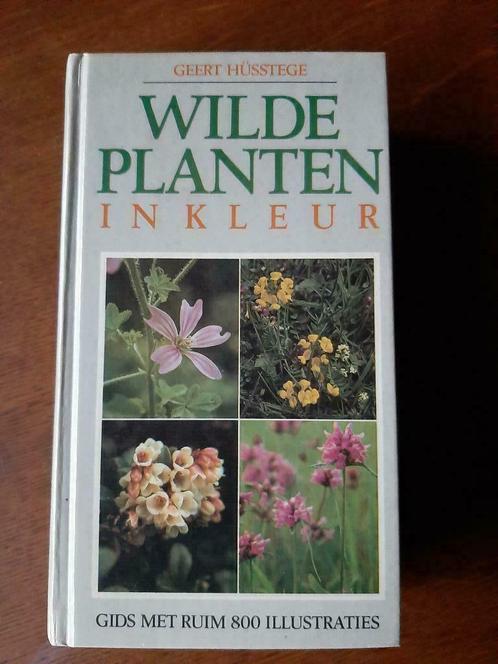 Wilde planten in kleur, Geert Hüsstege, Livres, Nature, Comme neuf, Fleurs, Plantes et Arbres, Enlèvement ou Envoi