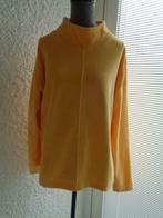 Blouse velours fin jaune. Taille 36/38, Vêtements | Femmes, Blouses & Tuniques, Enlèvement ou Envoi, Porté, Jaune