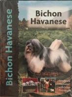Bichon Havanese, Engels boek, Enlèvement ou Envoi, Utilisé, Chiens