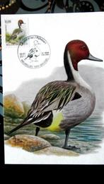 FIRST DAY OP KAART- VOGELS VAN BUZIN- DE PIJLSTAART, Ophalen of Verzenden, Gestempeld, Dier of Natuur