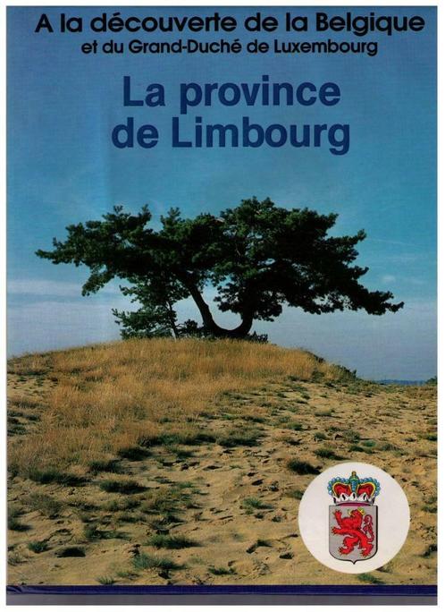 De Provincie Limburg - Boudewijn Van Houtem 1988, Boeken, Streekboeken en Streekromans, Gelezen, Ophalen of Verzenden