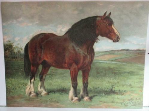 originele litho oleografie O. Eerelman met paard Schoenbeck, Antiek en Kunst, Kunst | Litho's en Zeefdrukken, Verzenden