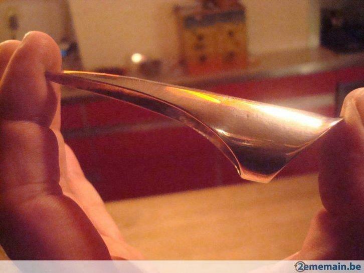 Bague de motard américain, Bijoux, Sacs & Beauté, Bagues, Utilisé, Femme ou Homme, Argent, Argent, Enlèvement