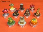 Herfst theelichtjes - serie 5, Ophalen of Verzenden, Nieuw