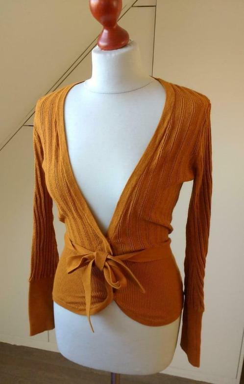 Halflang oranje gilet met striklint maat S, Kleding | Dames, Truien en Vesten, Zo goed als nieuw, Maat 36 (S), Oranje, Ophalen of Verzenden