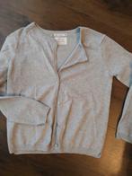 Gilet gris Zara 13/14 ans, Kinderen en Baby's, Kinderkleding | Overige, Ophalen of Verzenden, Zara, Zo goed als nieuw