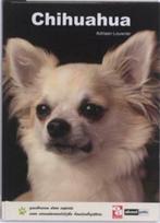 Chihuahua, Adriaan Louwrier, Gelezen, Honden, Ophalen