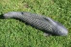 Beeld van een koi vis 40 cm in gepatineerde steen, Ophalen of Verzenden, Nieuw, Overige materialen, Overige typen