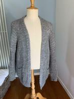 Grijze Bernadette verso maat 38, Vêtements | Femmes, Pulls & Gilets, Taille 38/40 (M), Gris, Enlèvement ou Envoi, Verso