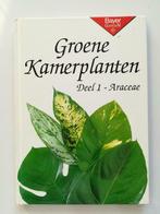 Groene kamerplanten: deel I / Araceae, Ophalen of Verzenden, Kamerplanten