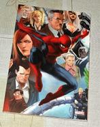 Spider-Man - C'est la vie - Tirage Limité, Livres, BD | Comics, Comics, Utilisé, Envoi