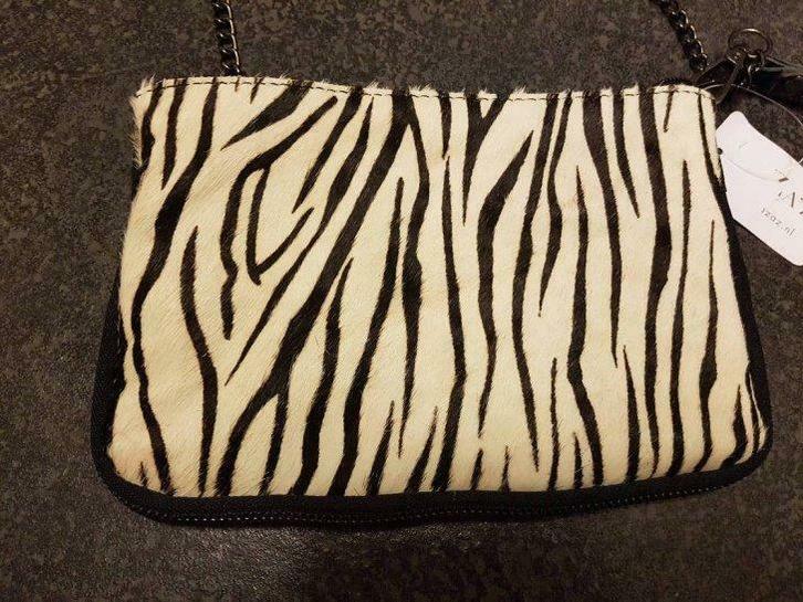 Klein tasje..clutch Nieuw, Handtassen en Accessoires, Tassen | Damestassen, Nieuw, Overige kleuren, Ophalen of Verzenden