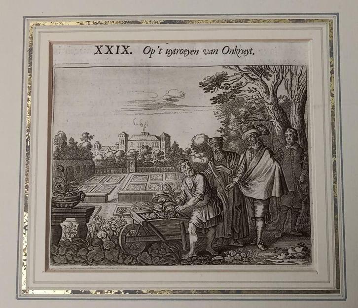 A66-8 Cats - Gezegde Op 't uytroeyen van Onkruyt, Antiek en Kunst, Kunst | Etsen en Gravures, Ophalen of Verzenden