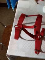 Halster voor paard nieuw (miskoop), Ophalen of Verzenden, Nieuw