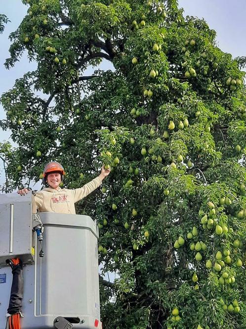 Jef Green, Diensten en Vakmensen, Tuinmannen en Stratenmakers