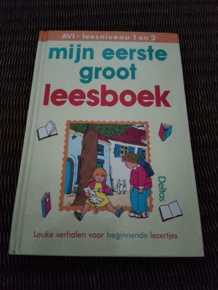 Mijn eerste groot leesboek, Boeken, Kinderboeken | Jeugd | onder 10 jaar, Zo goed als nieuw, Fictie algemeen, Ophalen of Verzenden