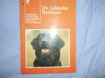 Labrador retriever, Livres, Animaux & Animaux domestiques, Chiens, Utilisé, Enlèvement ou Envoi