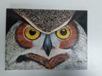 Handgeschilderd schilderij 30x40 cm uil, Antiek en Kunst, Ophalen of Verzenden