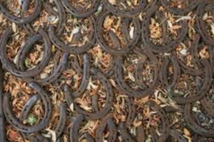 Grote partij gebruikte hoefijzers, Dieren en Toebehoren, Paarden en Pony's | Verzorgingsproducten, Gebruikt, Ophalen of Verzenden