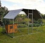 Poulailler enclos parc voliere chatiere 6m² 3x2x2m XXL, Animaux & Accessoires, Envoi, Neuf