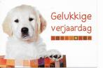 Hond 6, Verzamelen, Postkaarten | Dieren, Verzenden, Hond of Kat