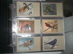 P. Sluis postkaarten vogels 120 stuks, Verzamelen, 1940 tot 1960, Overige thema's, Ongelopen, Ophalen