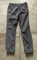 Grijze lange broek - Palomino - maat 134, Kinderen en Baby's, Kinderkleding | Maat 134, Broek, Palomino, Ophalen of Verzenden