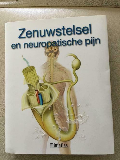 Miniatlas Zenuwstelsel en Neuropathische pijn - Lepori nieuw, Boeken, Wetenschap, Nieuw, Natuurwetenschap, Ophalen of Verzenden
