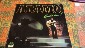 Lp Adamo, Enlèvement ou Envoi
