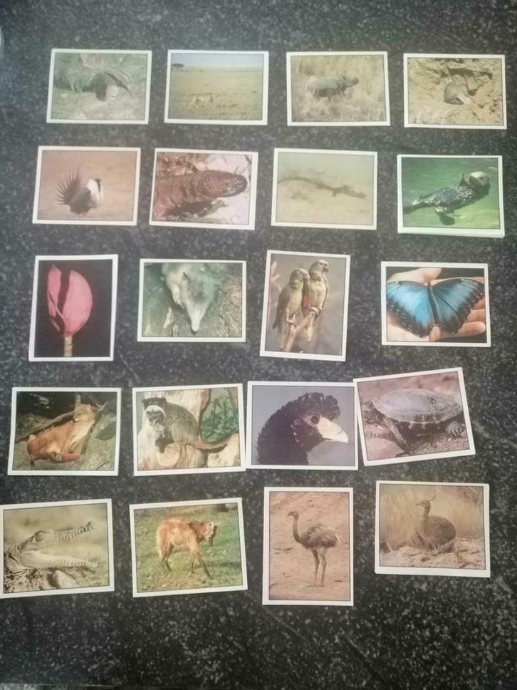 WWF stickers, Verzamelen, Stickers, Ophalen of Verzenden