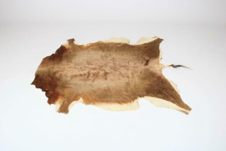 fourrure animale comme tapis, Antiquités & Art, Curiosités & Brocante, Enlèvement ou Envoi