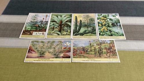 Six estampes, précédemment éditées par la «Compagnie Liebig», Collections, Photos & Gravures, Photo, Enlèvement ou Envoi