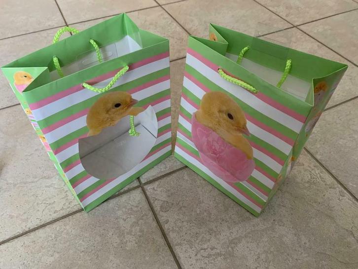 lot 2 sacs cadeaux enfants - emballage - pochette - caneton, Enfants & Bébés, Jouets | Autre, Neuf, Garçon ou Fille, Enlèvement ou Envoi