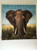 Kalender 2016 van Avonside Elephants/olifanten, Enlèvement ou Envoi, Utilisé