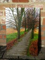 Wandelpad met bomen