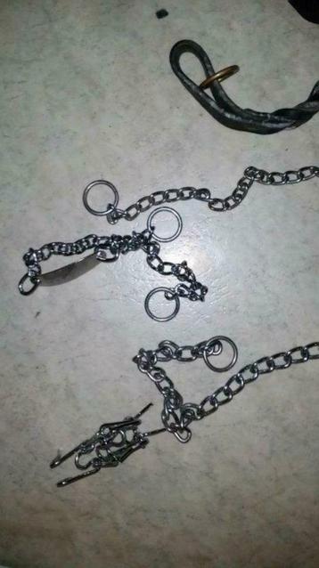 Collier ou Harnais chien  pièces precise quel objet beschikbaar voor biedingen