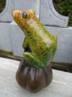 statue d une grenouille patiné sur un potiron en bronze ., Antiquités & Art, Enlèvement ou Envoi