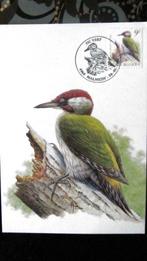 FIRST DAY OP KAART- VOGELS VAN BUZIN- DE GROENE SPECHT, Ophalen of Verzenden, Gestempeld, Dier of Natuur